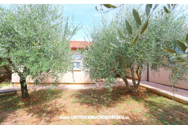 Snježana – foto 12