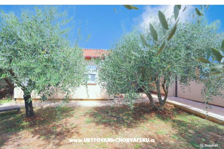 Snježana – foto 3