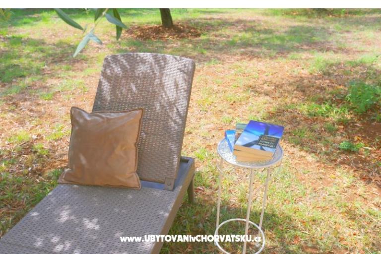 Snježana – foto 5