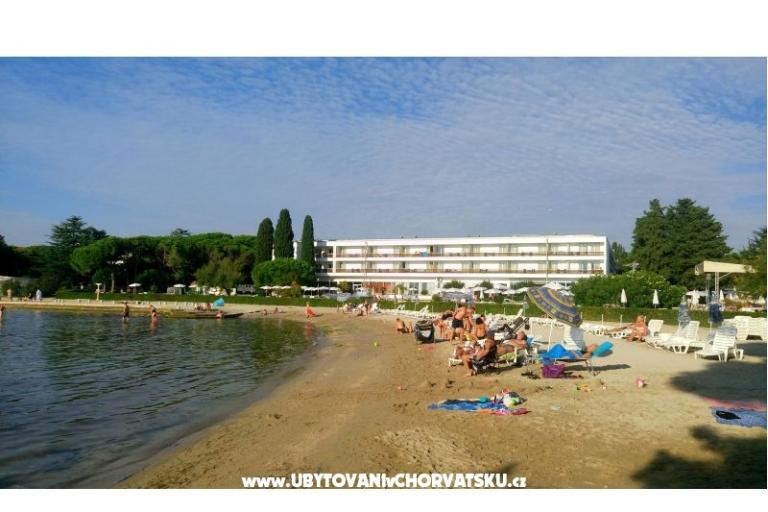 Villa Rosemarino – foto 15