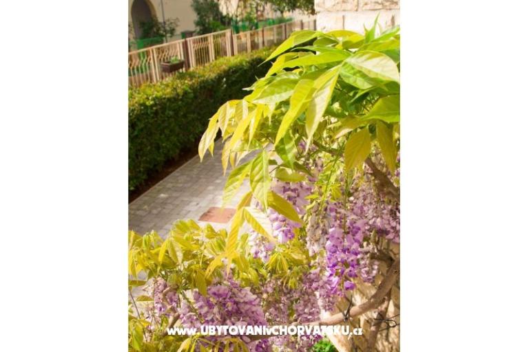 Villa Tereza – foto 11