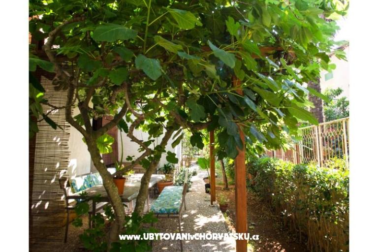 Villa Tereza – foto 18