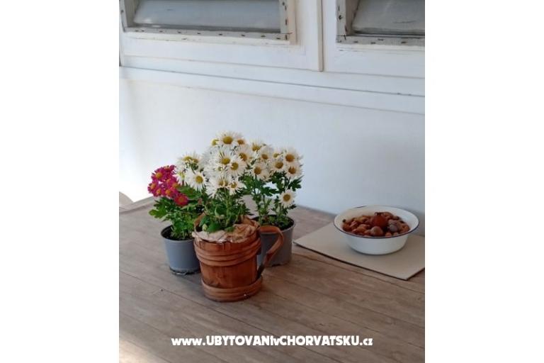 Appartement Viter – foto 5