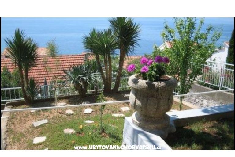 Appartement Amalia – foto 4