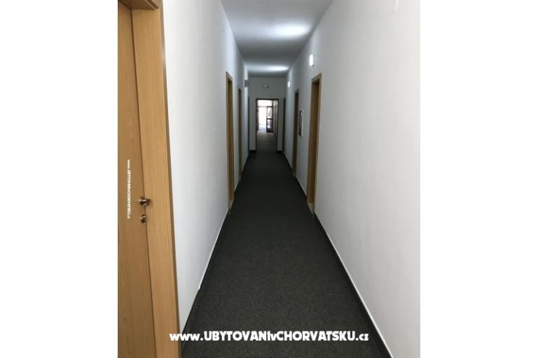 Bossina Zaostrog – foto 2