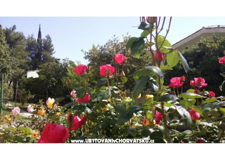 Love Zaostrog – foto 3