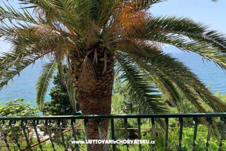 Appartementen Palma – foto 7