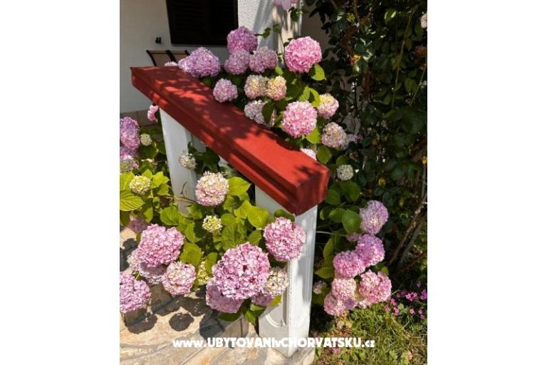 Appartementen Ana Ercegović  – foto 10