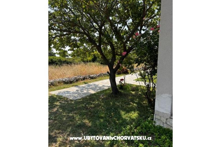 Appartementen Ana Ercegović  – foto 8