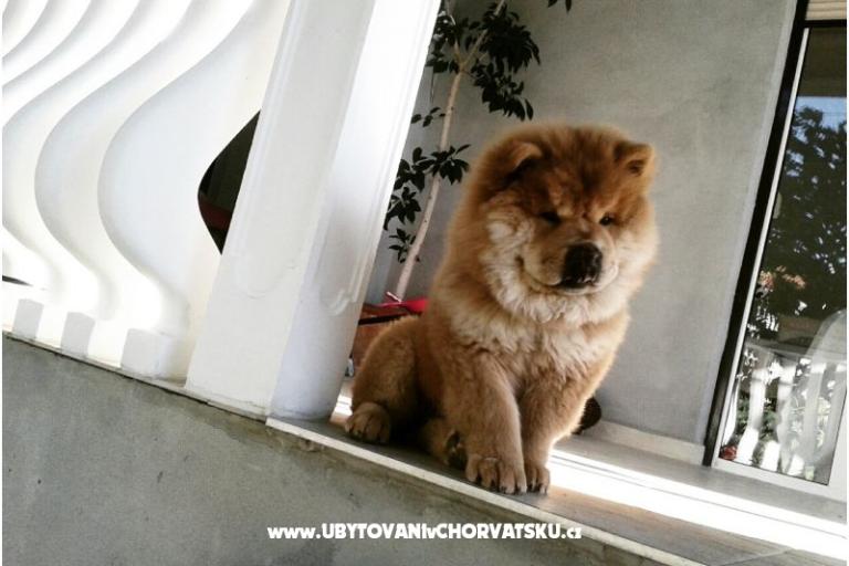 Appartementen Denis i Sandra – foto 15