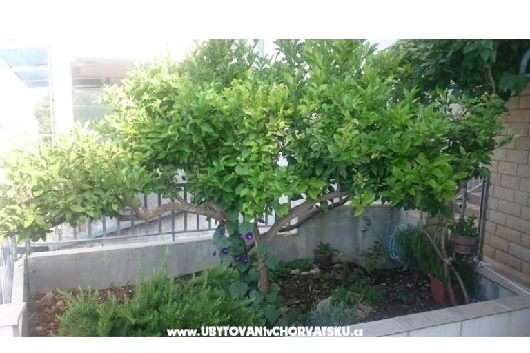 Appartementen Jovanović – foto 12