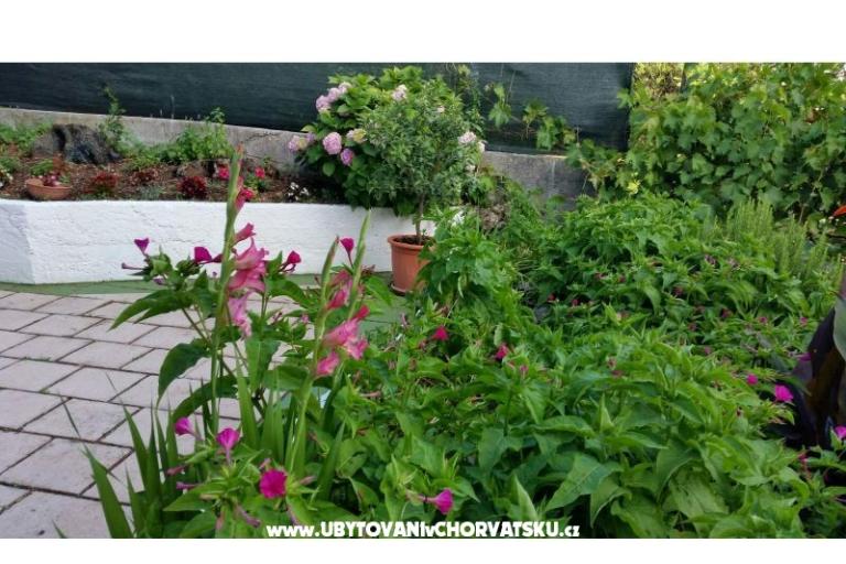 Appartementen Lily – foto 8
