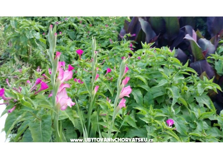 Appartementen Lily – foto 9