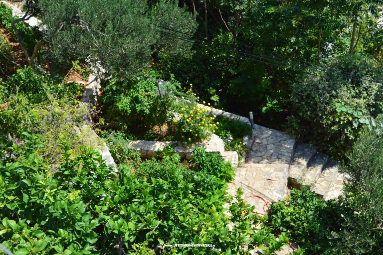 Appartementen Majstrović Živogošće – foto 6