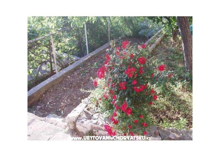 Appartementen Tiho – foto 11