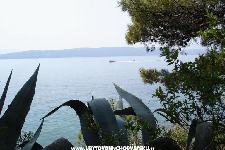 Appartementen Anita – foto 15