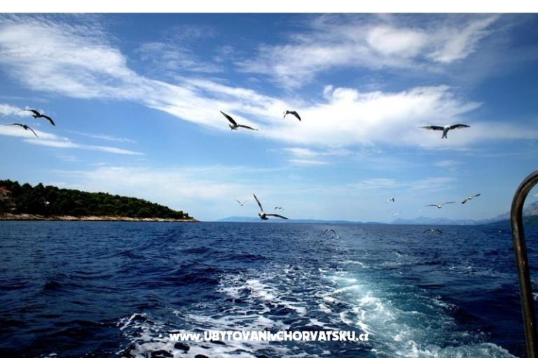 Appartementen Anita – foto 16