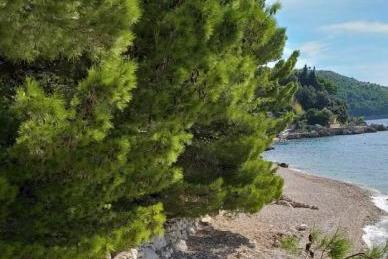 Appartementen Ena – foto 4