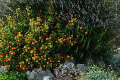 Appartementen MM – foto 17