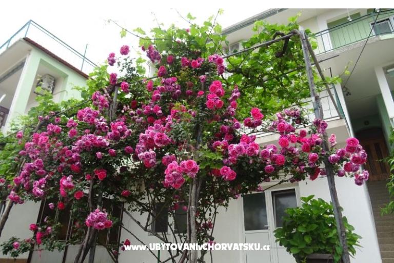 Appartementen NEDA – foto 3