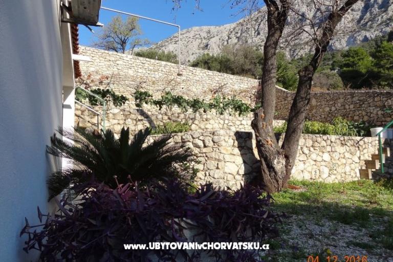 Huis Zorra Porat – foto 12