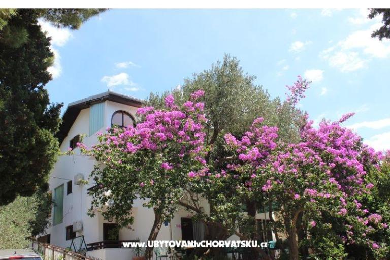 Appartementen Vila Filipovic – foto 3