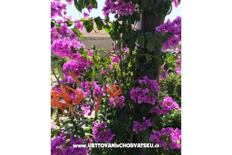 Appartementen Kod Vlaha ,I&amp;T – foto 13