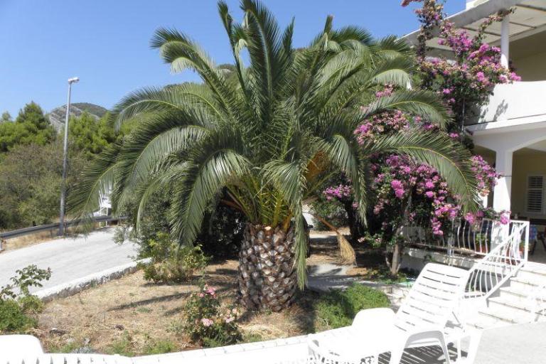 Appartementen Cavelis – foto 10