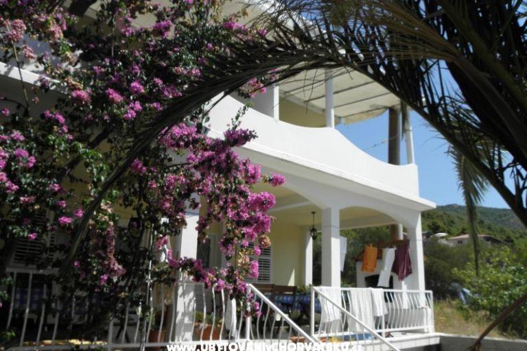 Appartementen Cavelis – foto 13