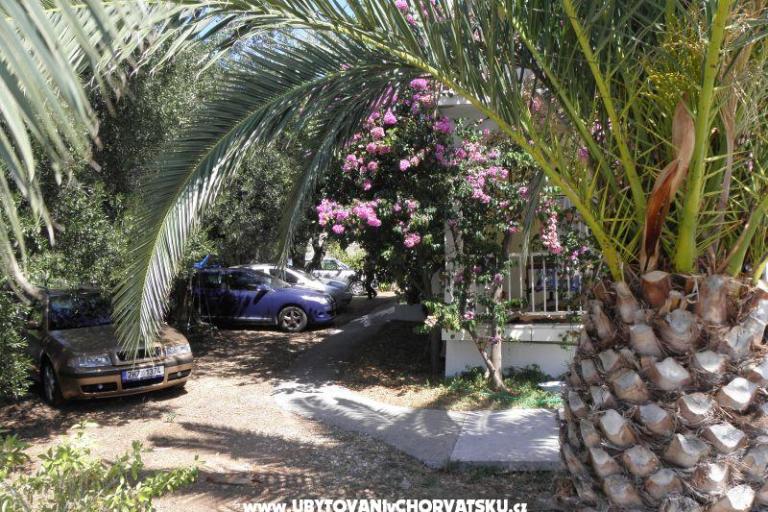 Appartementen Cavelis – foto 14